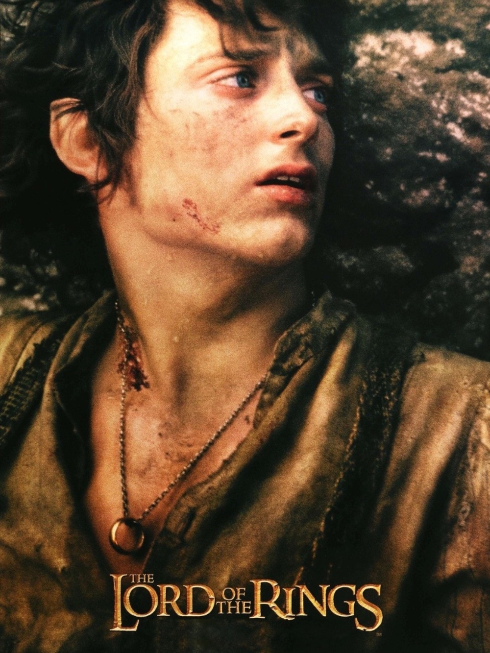 The “One Ring” Necklace—The Lord of the Rings - Picture 5 of 6